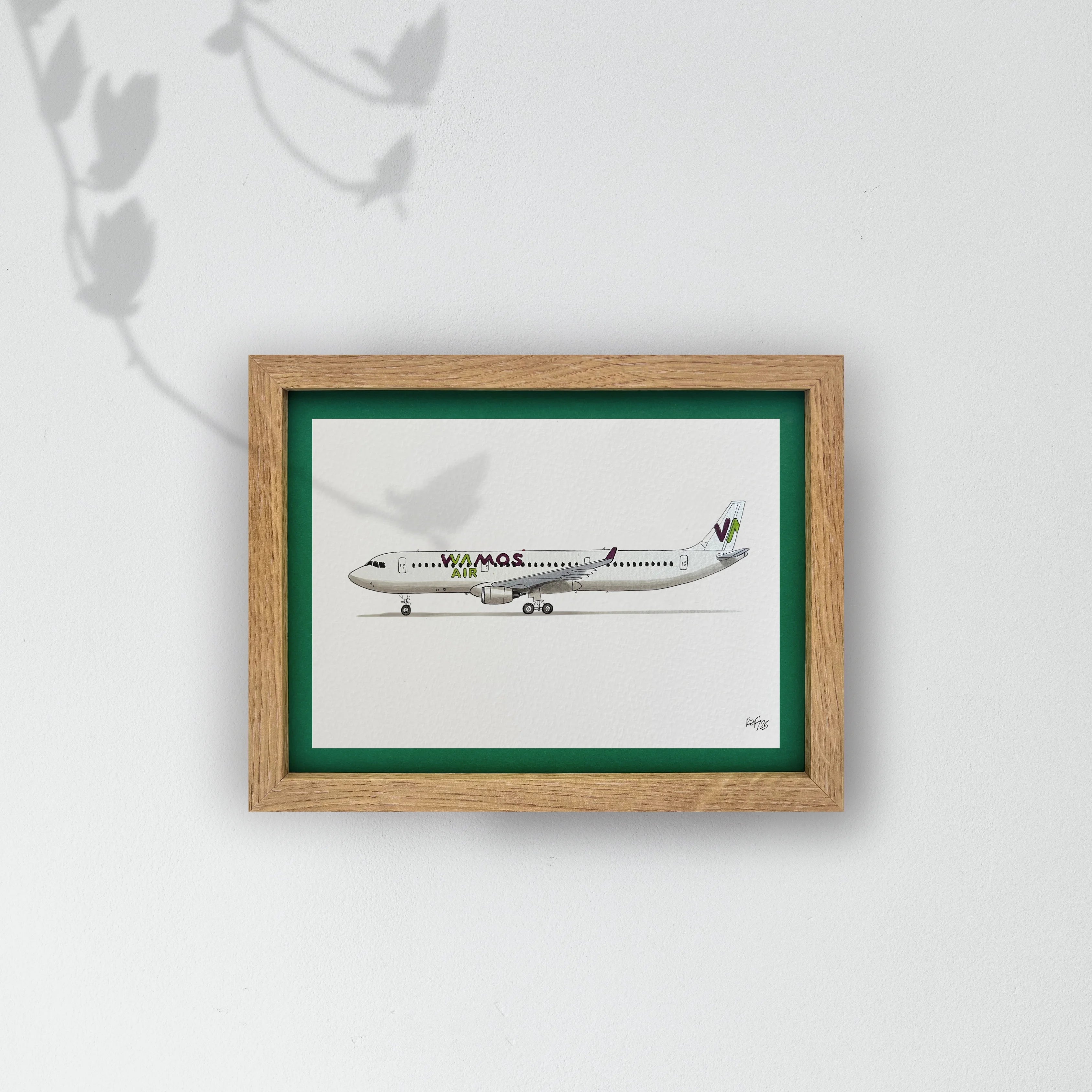 Lámina el avión A330-200 - PLM