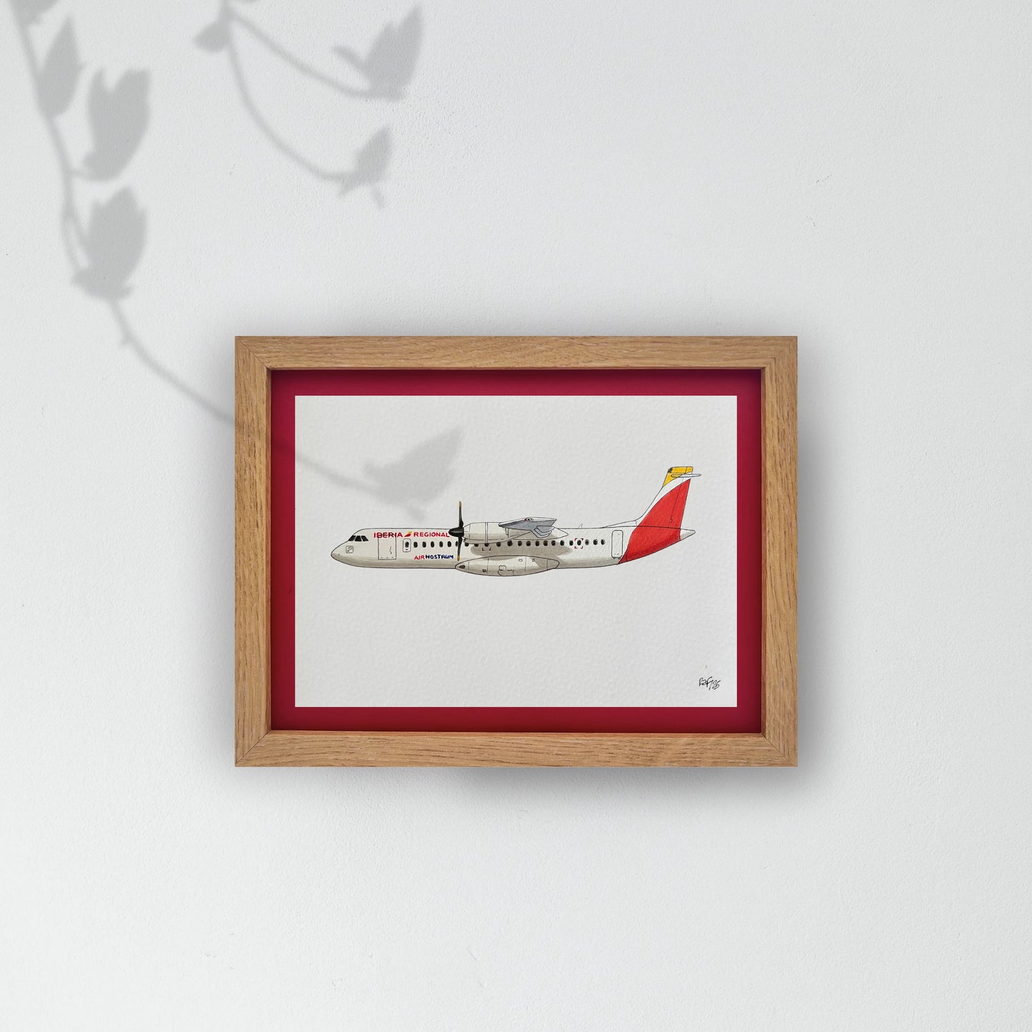 Lámina ATR 72 - ANE