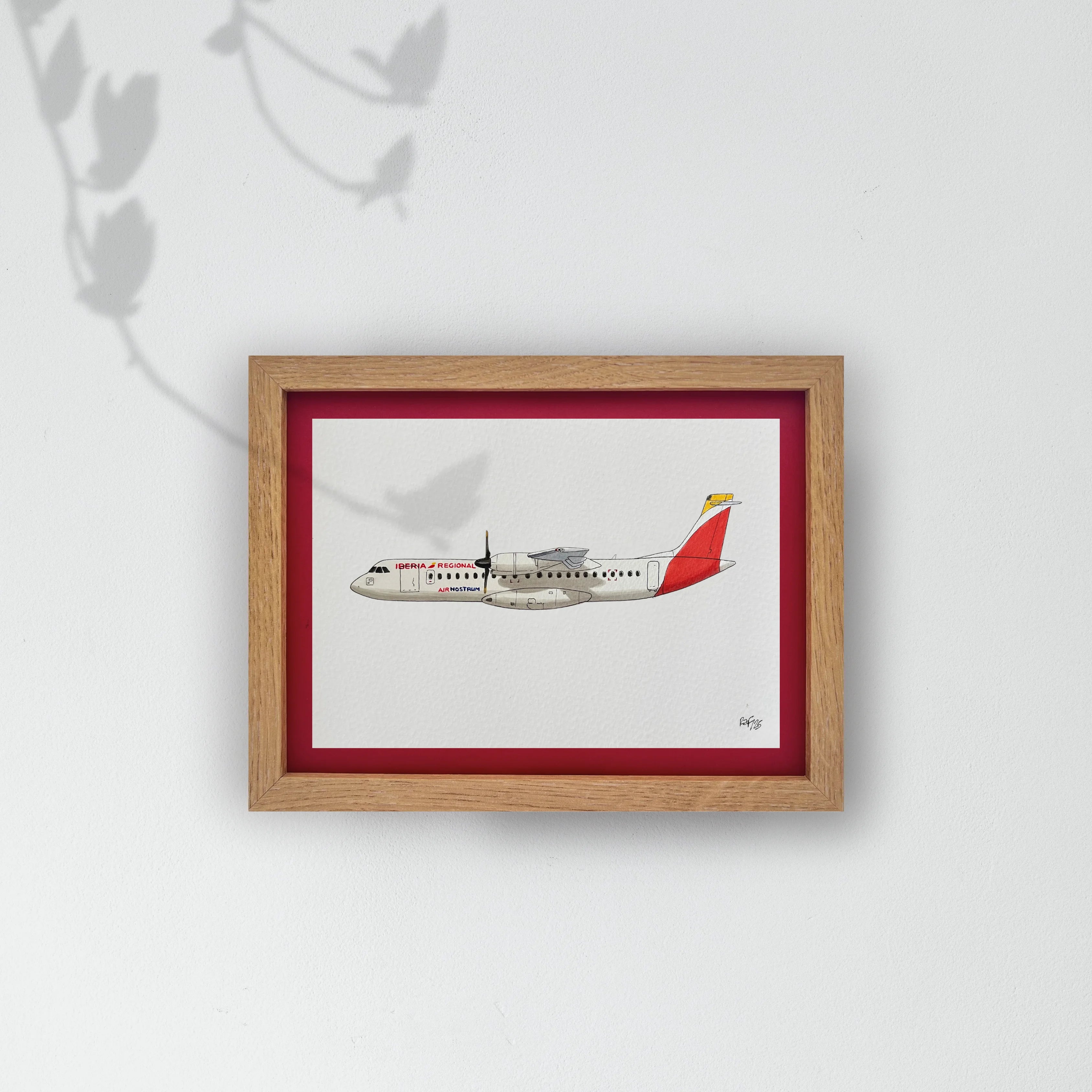 Lámina del avión ATR 72 - ANE