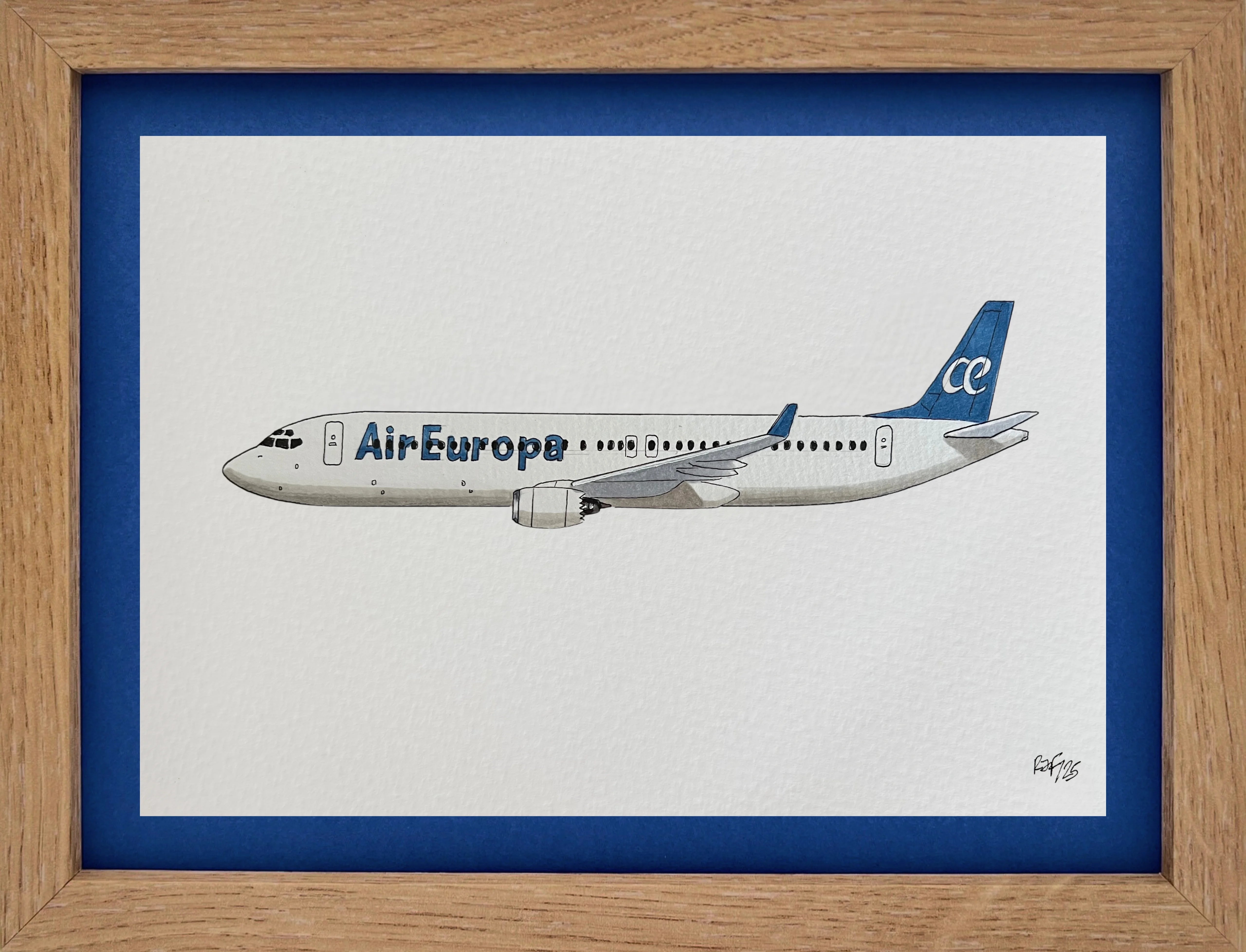 Lámina B737-800 - AEA