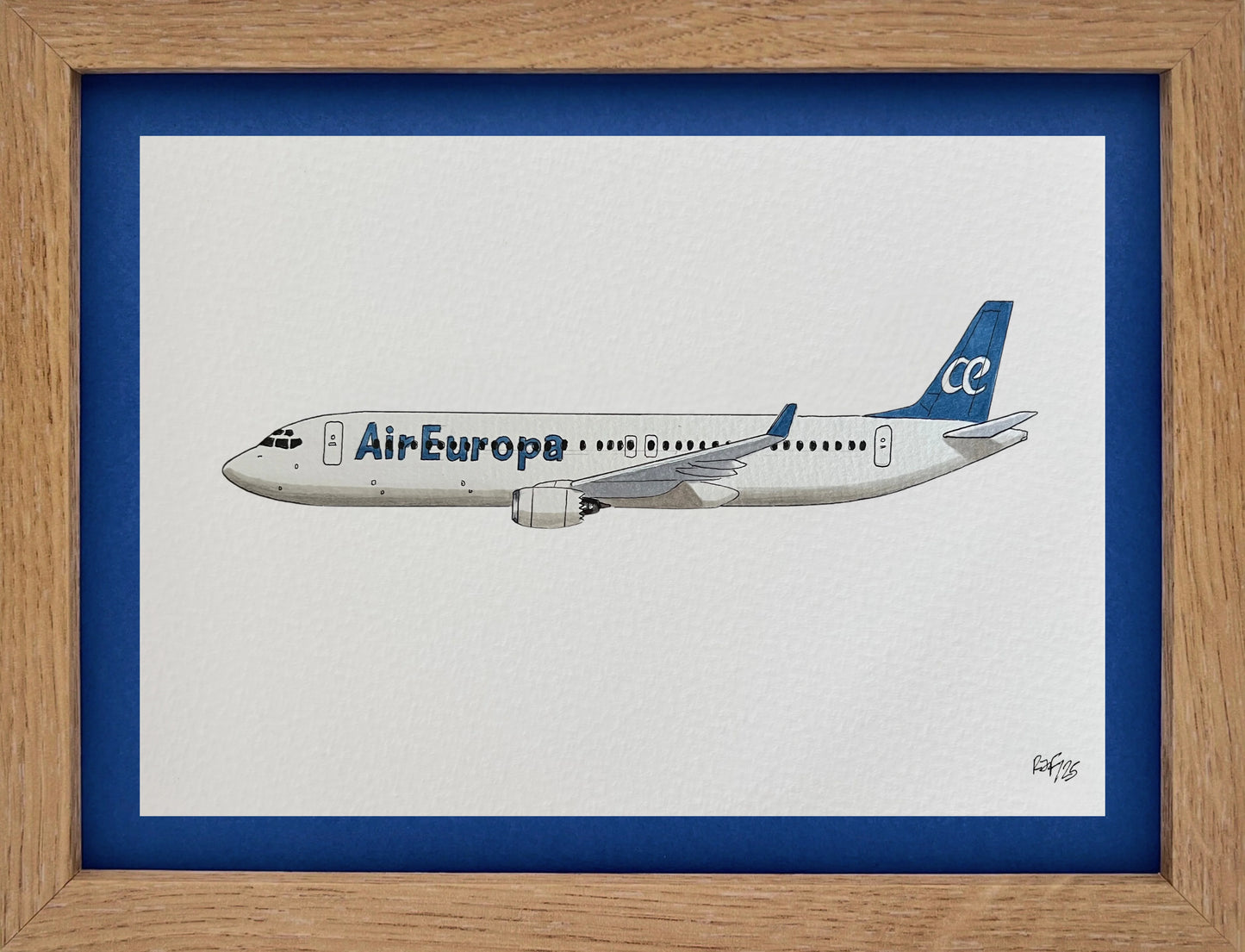 Lámina B737-800 - AEA