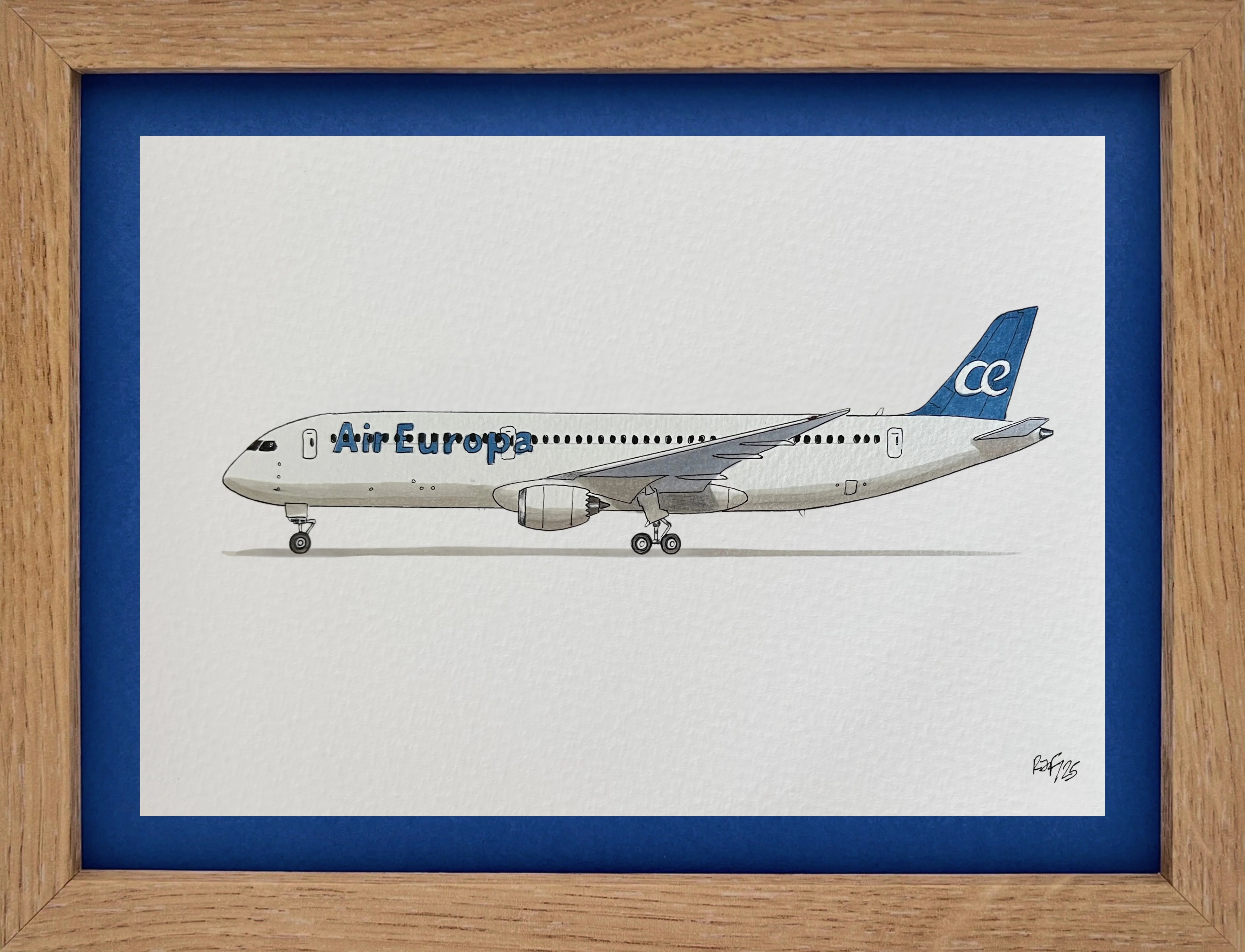 Lámina B787-9 - AEA