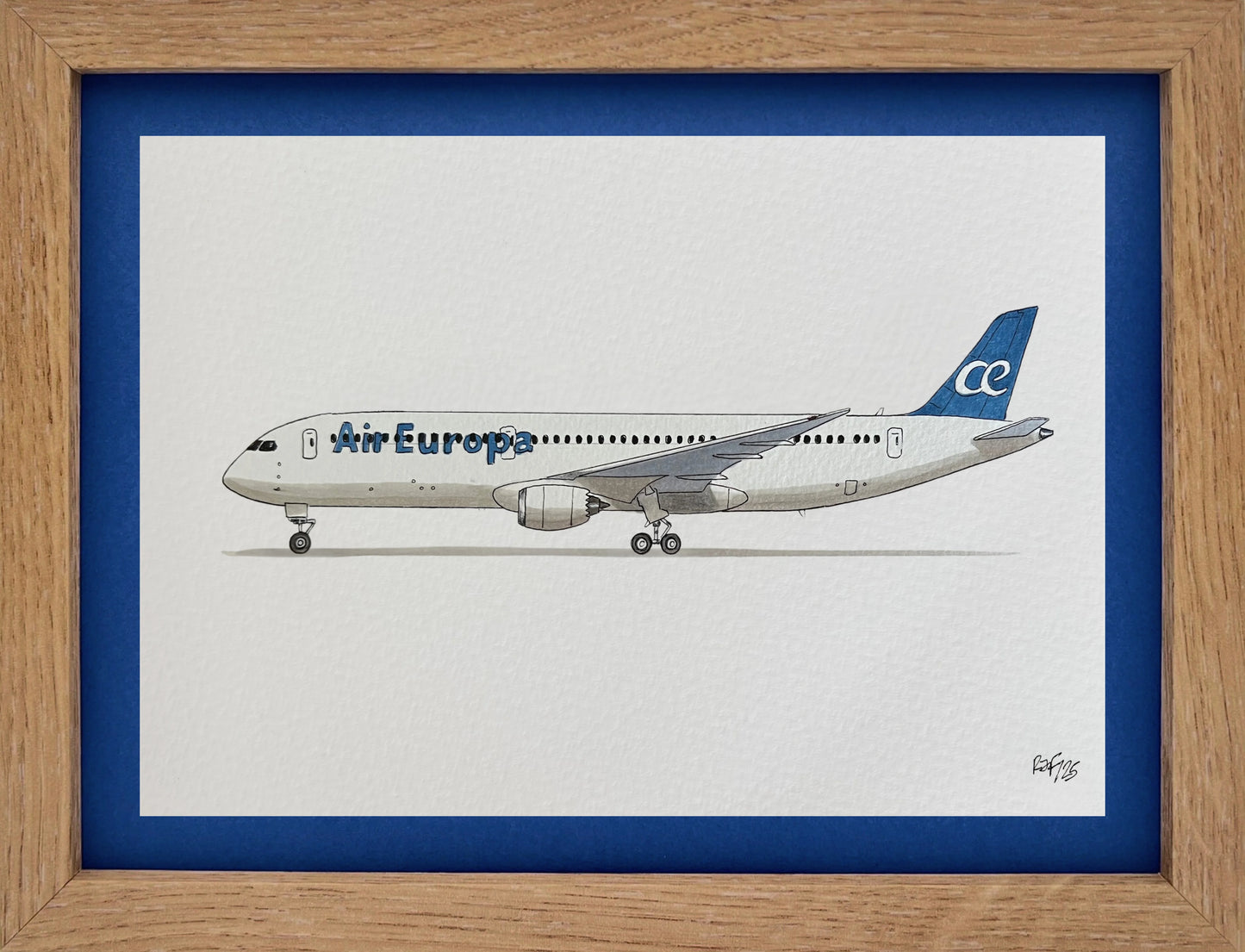 Lámina B787-9 - AEA
