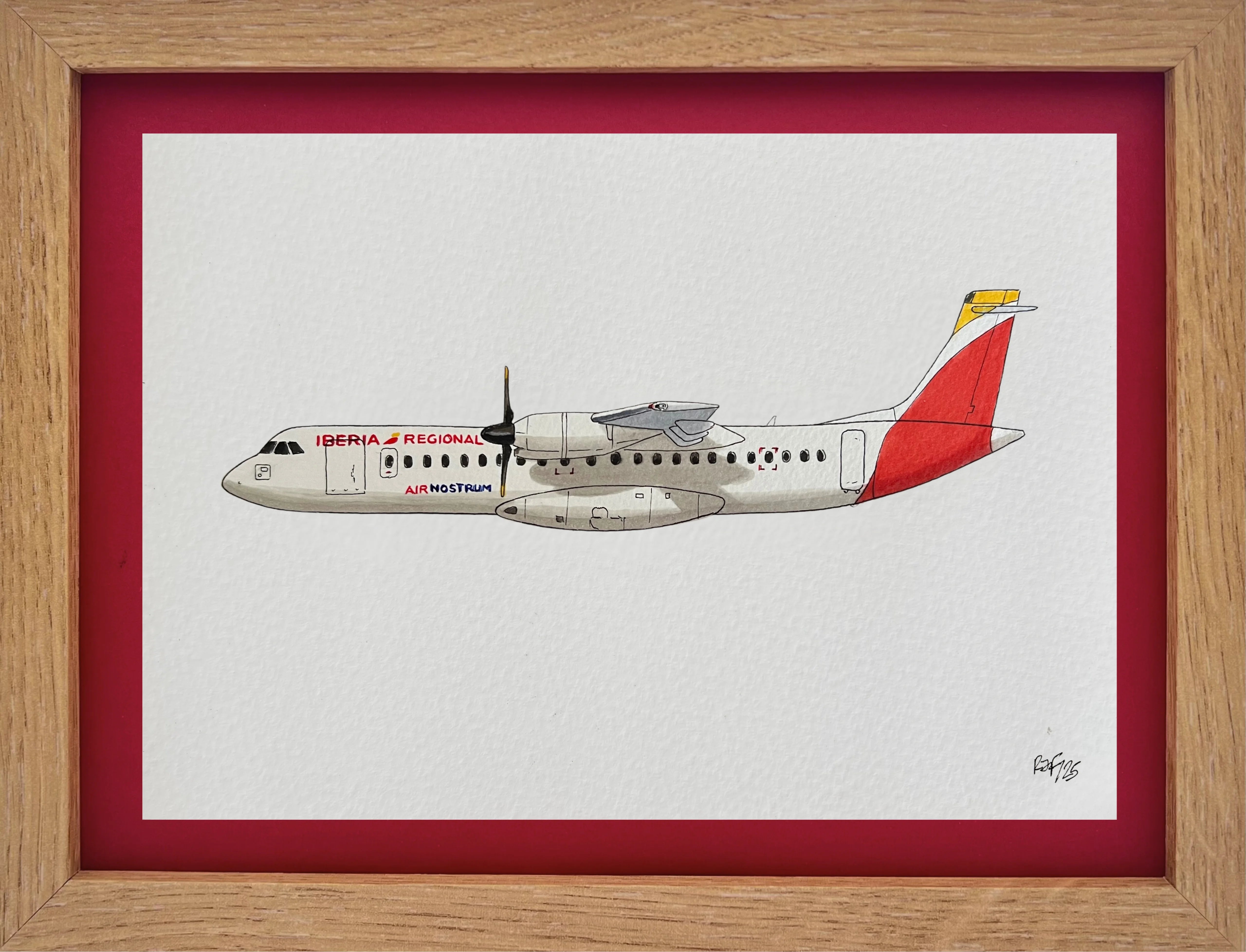 Lámina ATR 72 - ANE