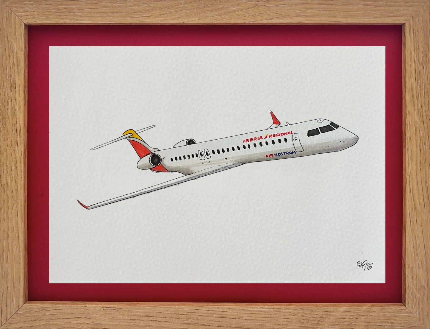Lámina CRJ 900 - ANE