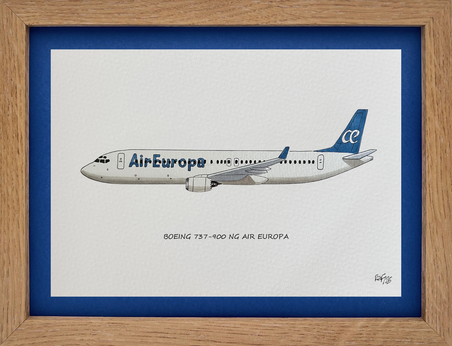 Lámina B737-800 - AEA
