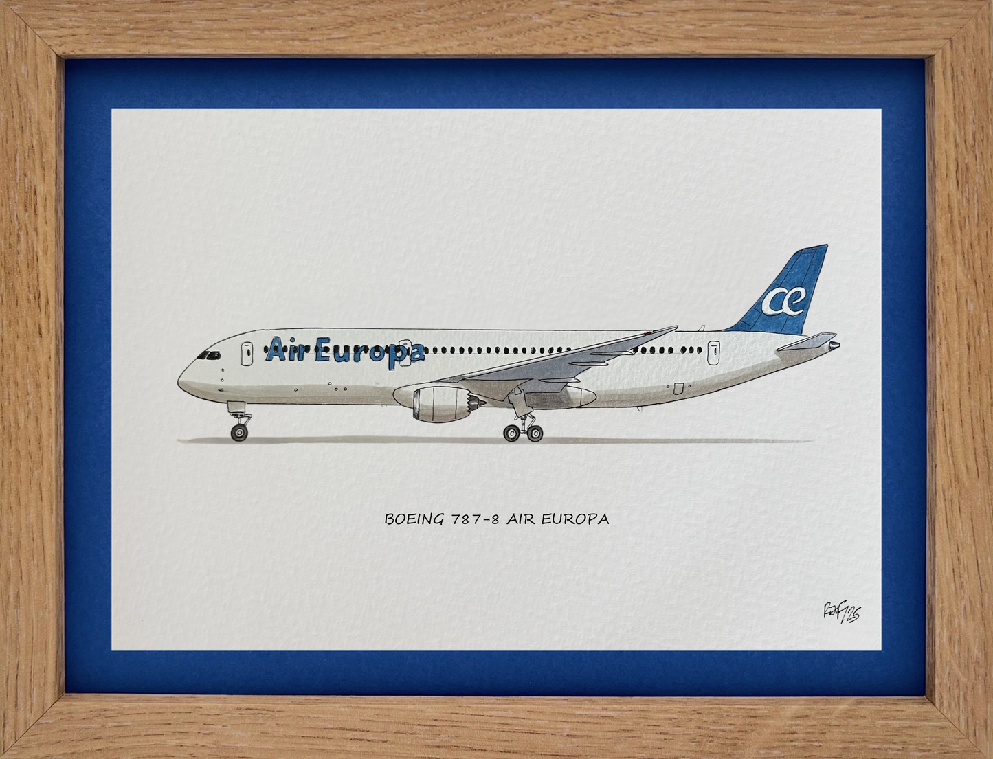 Lámina B787-9 - AEA
