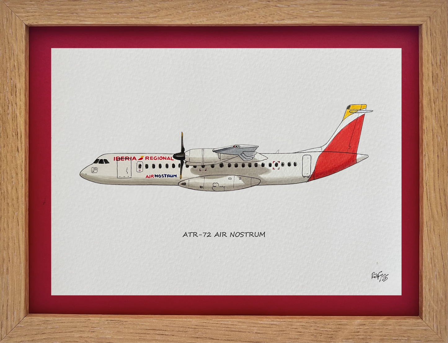 Lámina ATR 72 - ANE