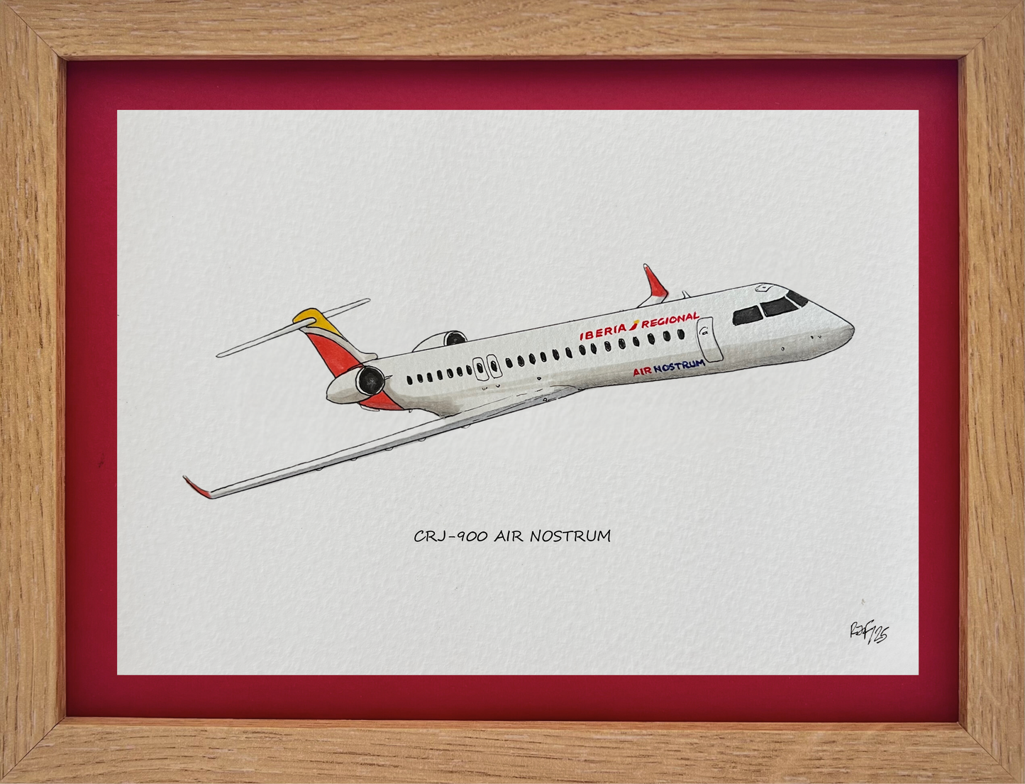 Lámina CRJ 900 - ANE