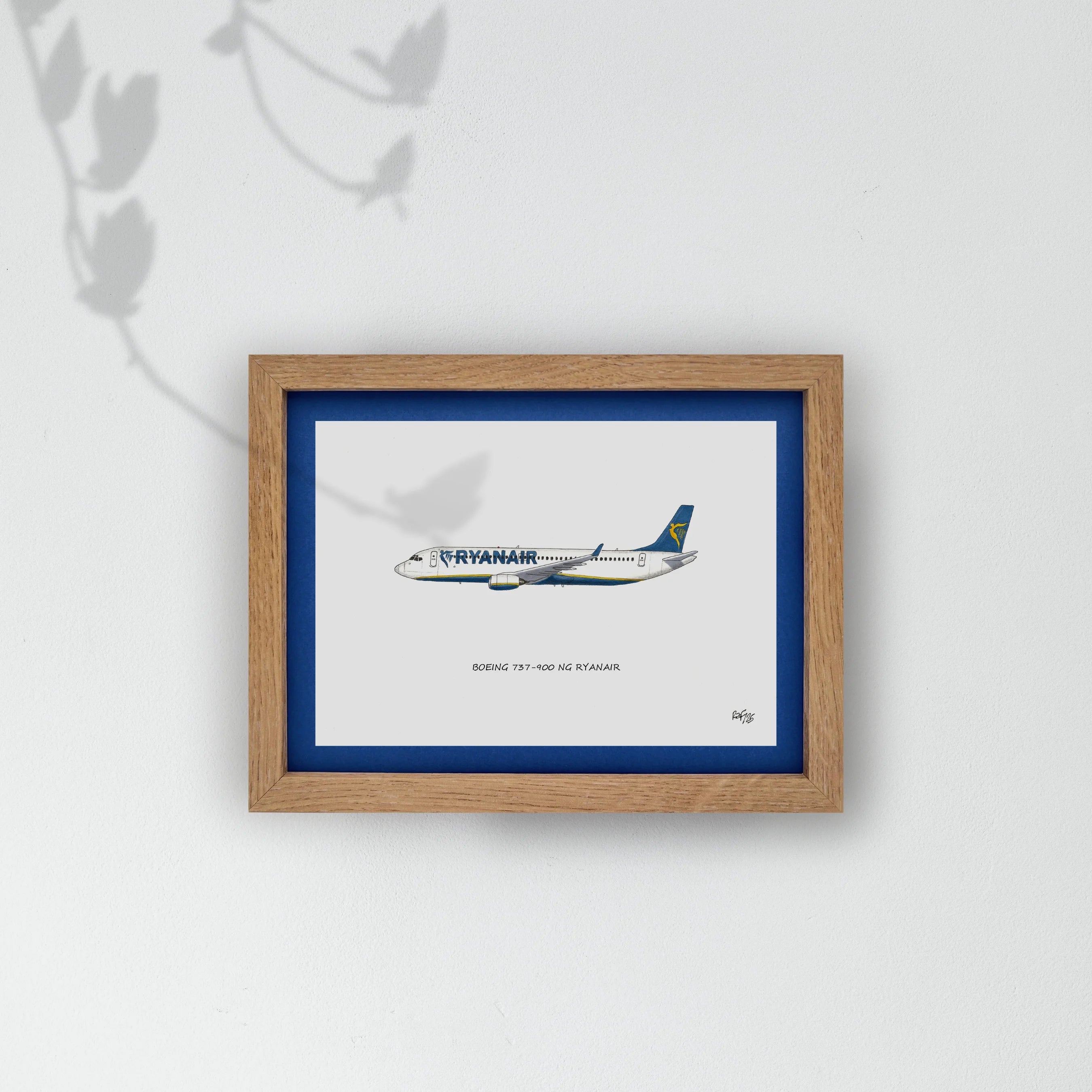 Lámina del avión B737-900 NG - RYR