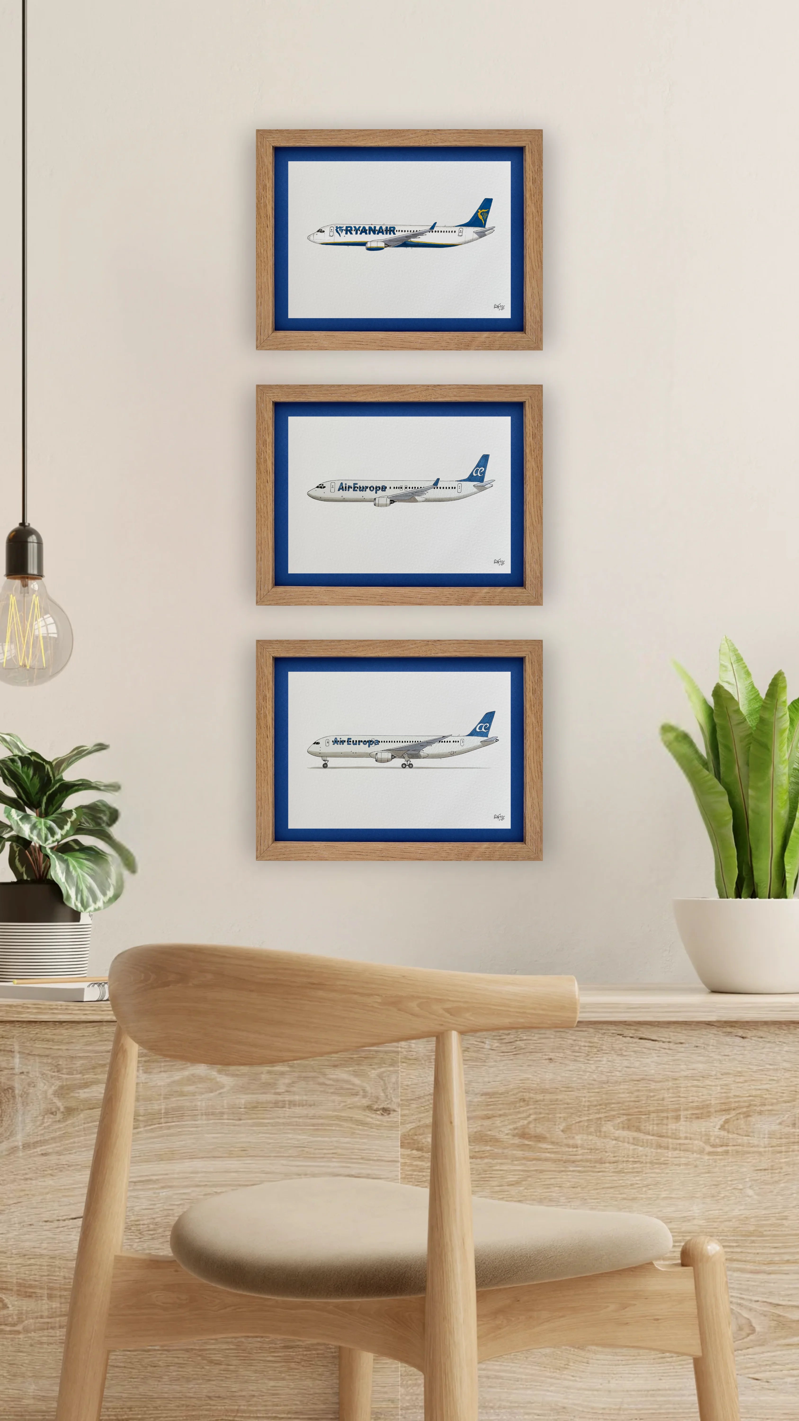 Lámina del avión B737-800 - AEA