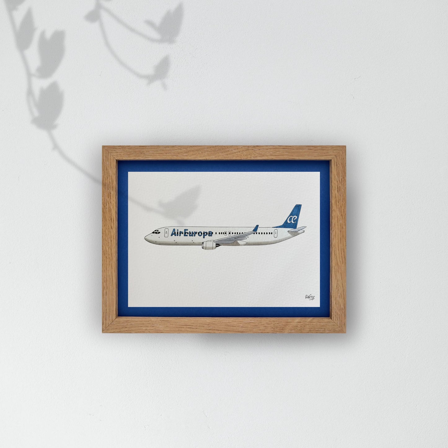Lámina B737-800 - AEA