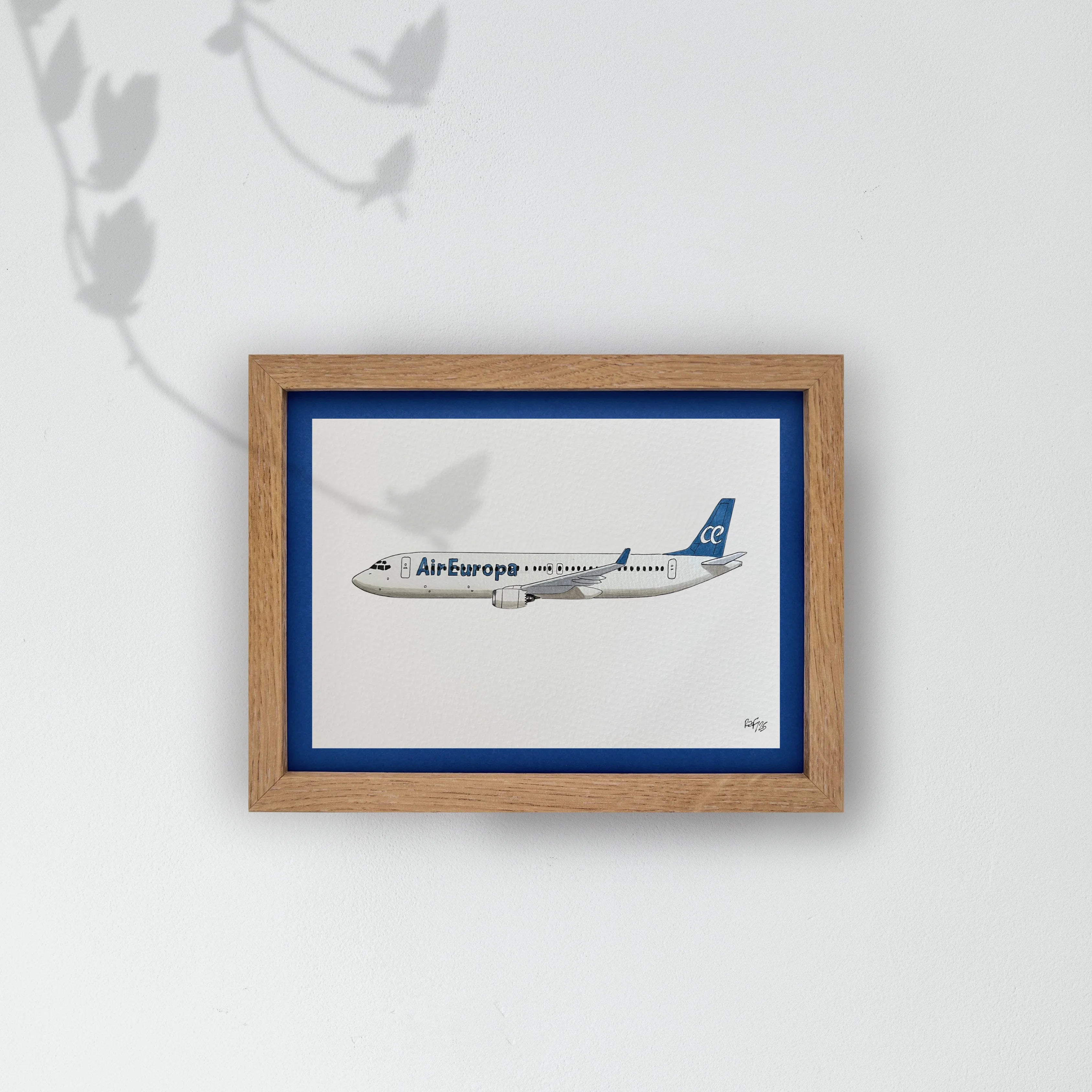 Lámina del avión B737-800 - AEA