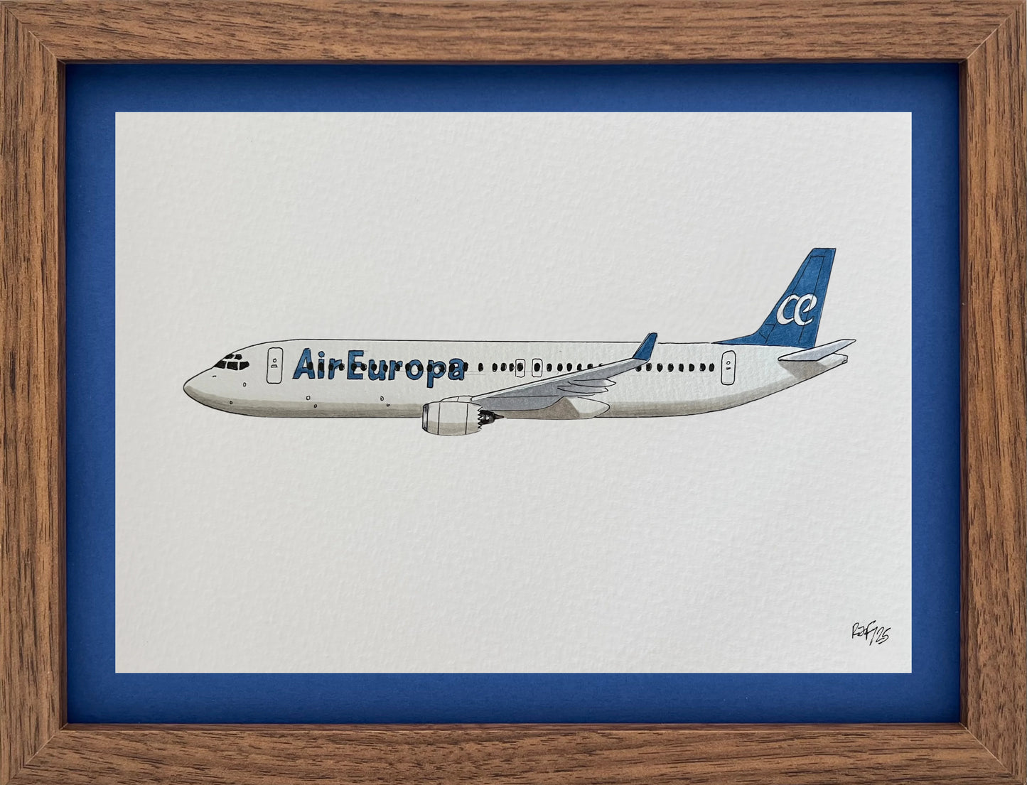 Lámina B737-800 - AEA
