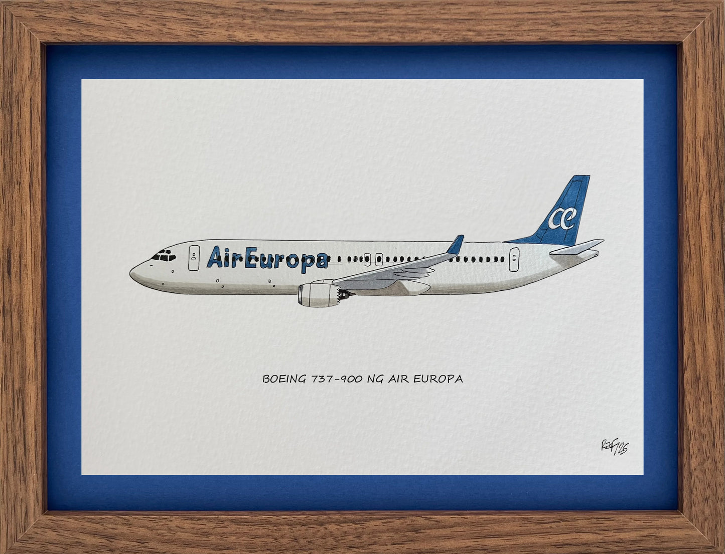 Lámina B737-800 - AEA
