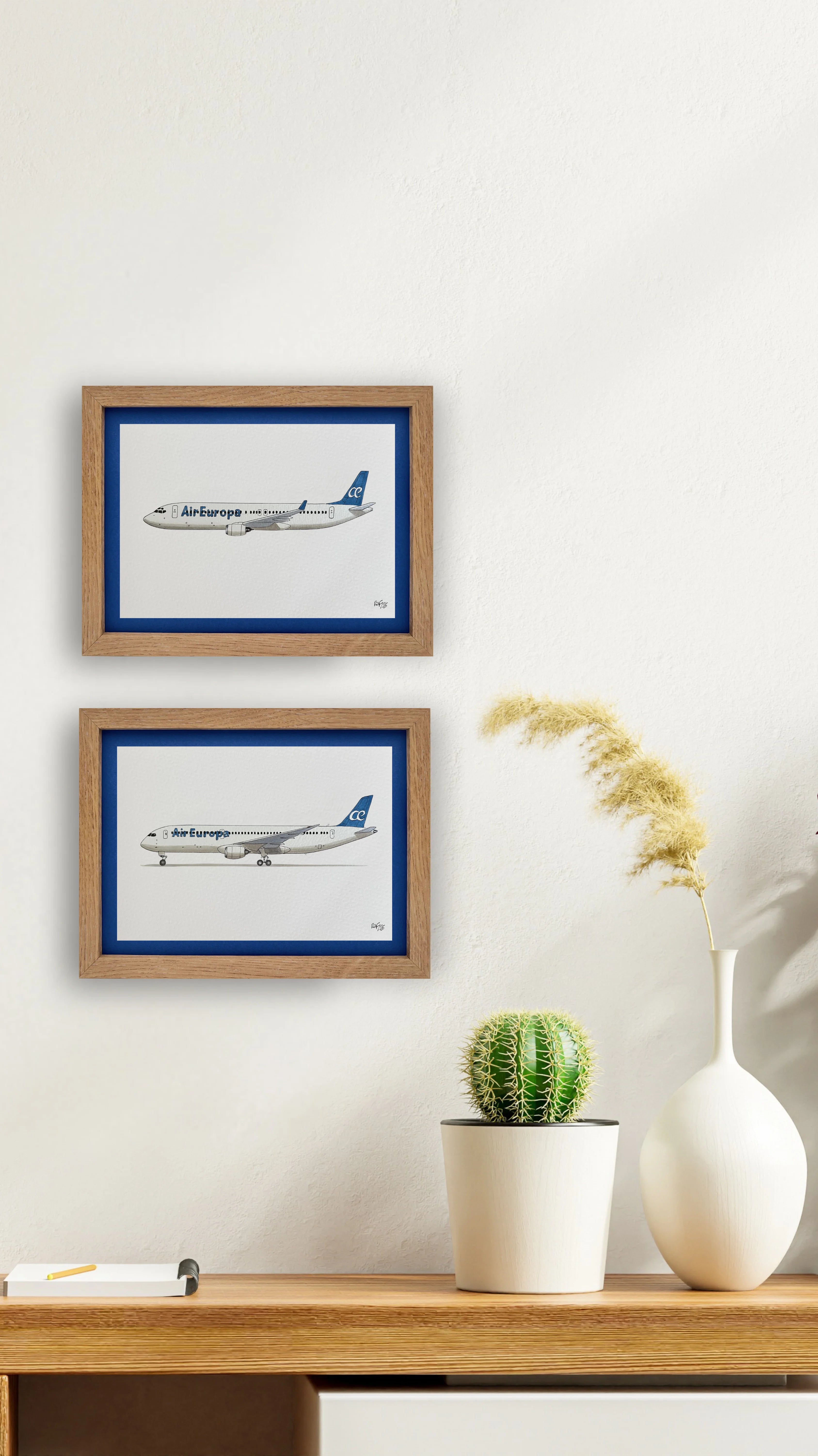 Lámina del avión B737-800 - AEA