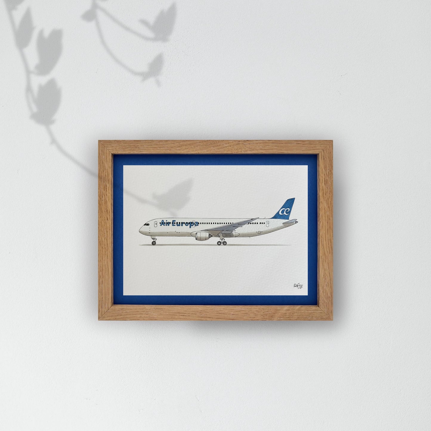 Lámina B787-9 - AEA