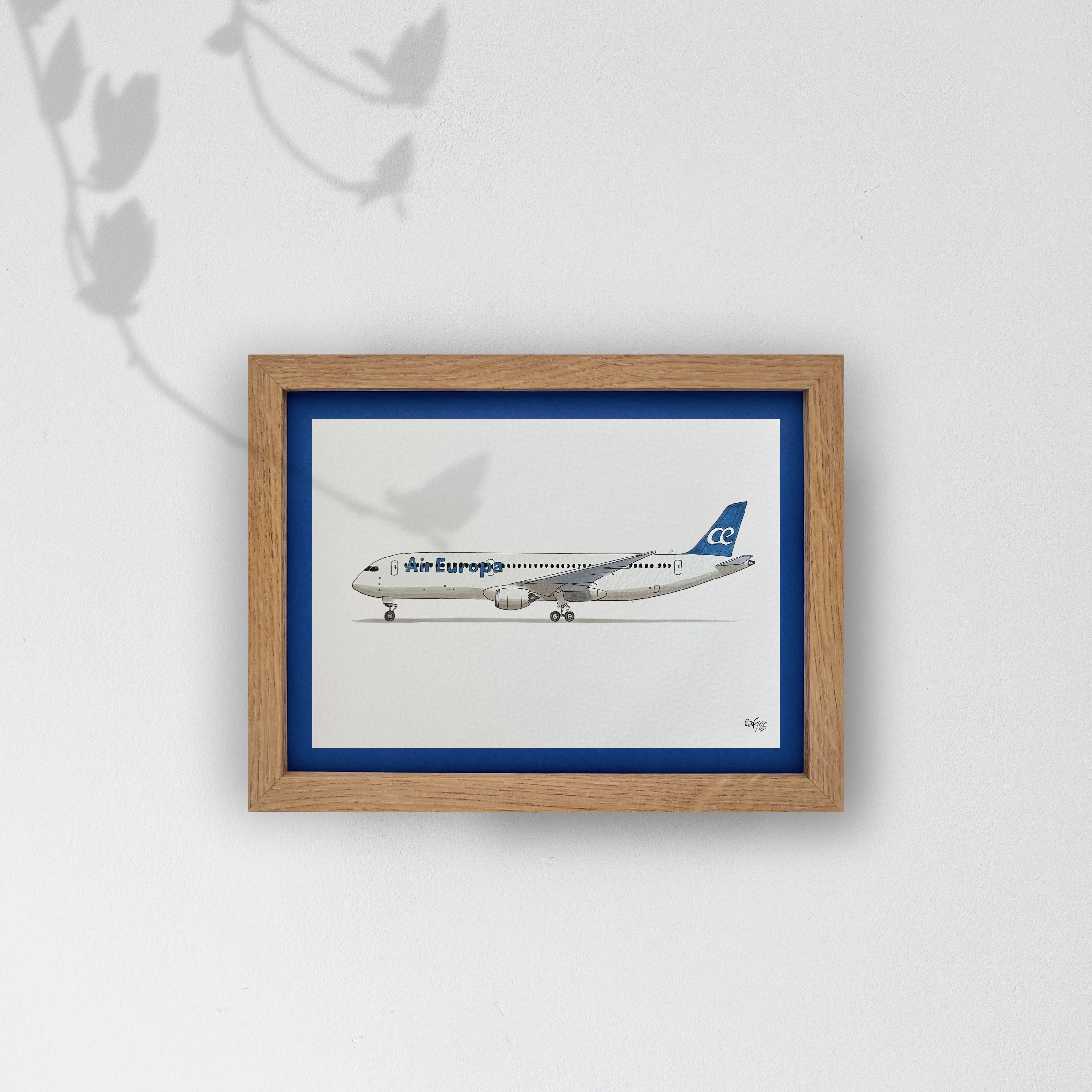 Lámina del avión B787-9 - AEA