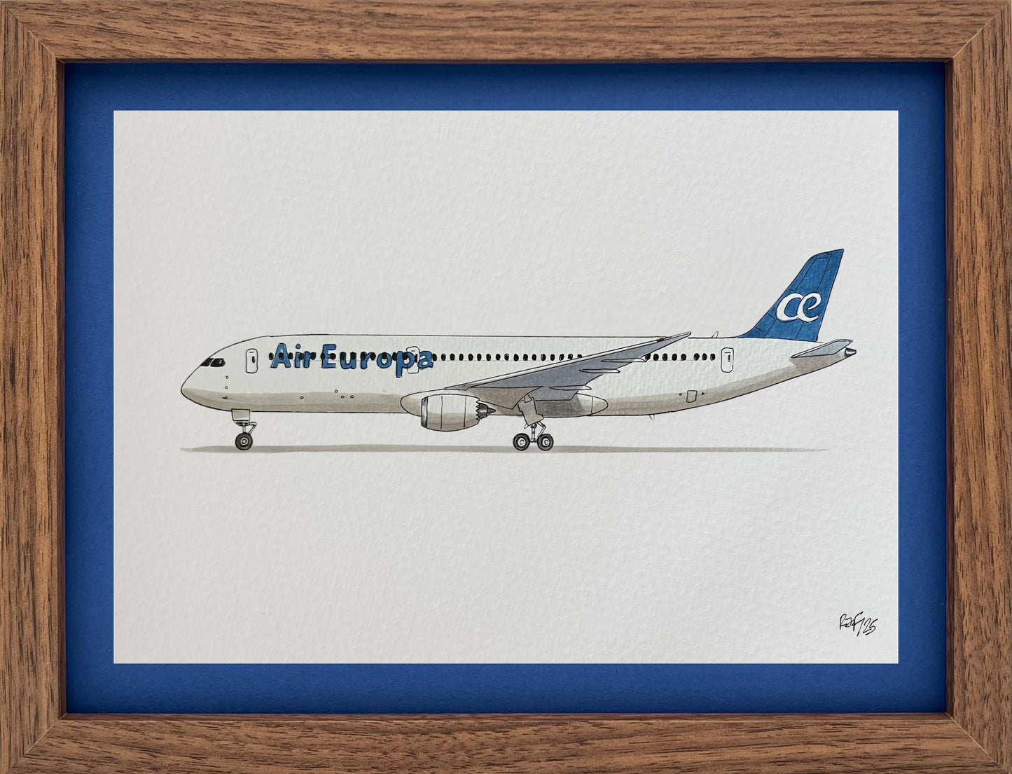 Lámina B787-9 - AEA