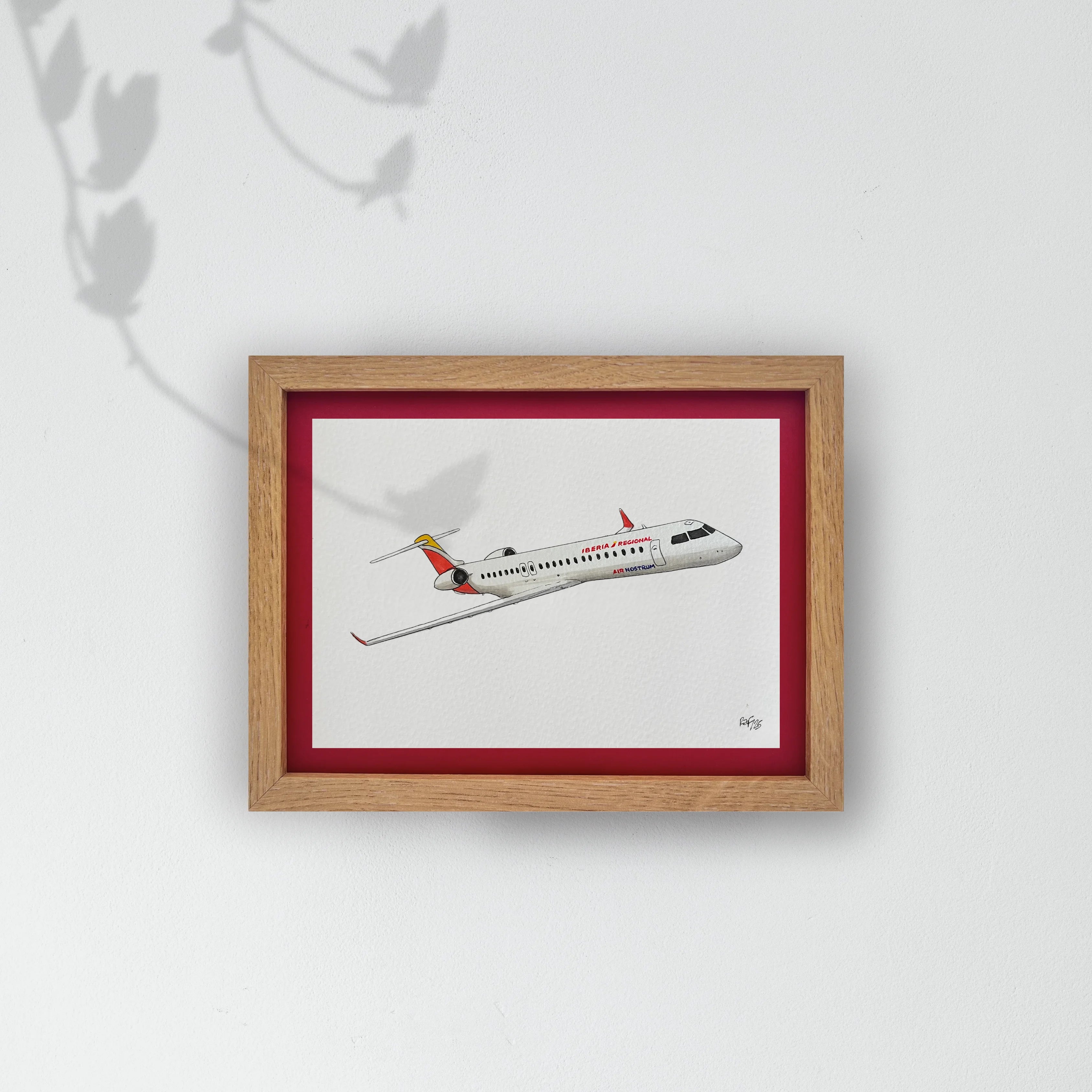 Lámina del avión CRJ 900 - ANE