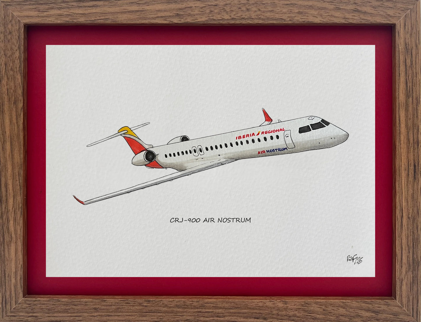 Lámina CRJ 900 - ANE