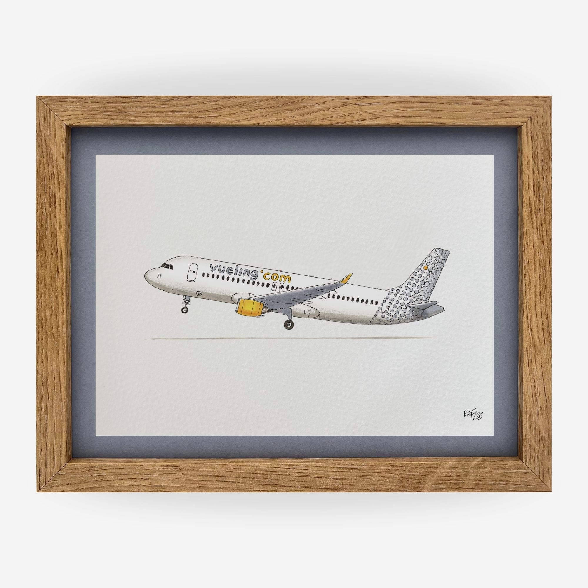 Lámina del avión A320-232 VLG