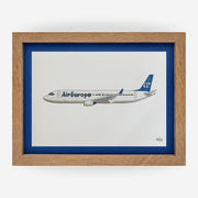 Lámina del avión B737-800 - AEA