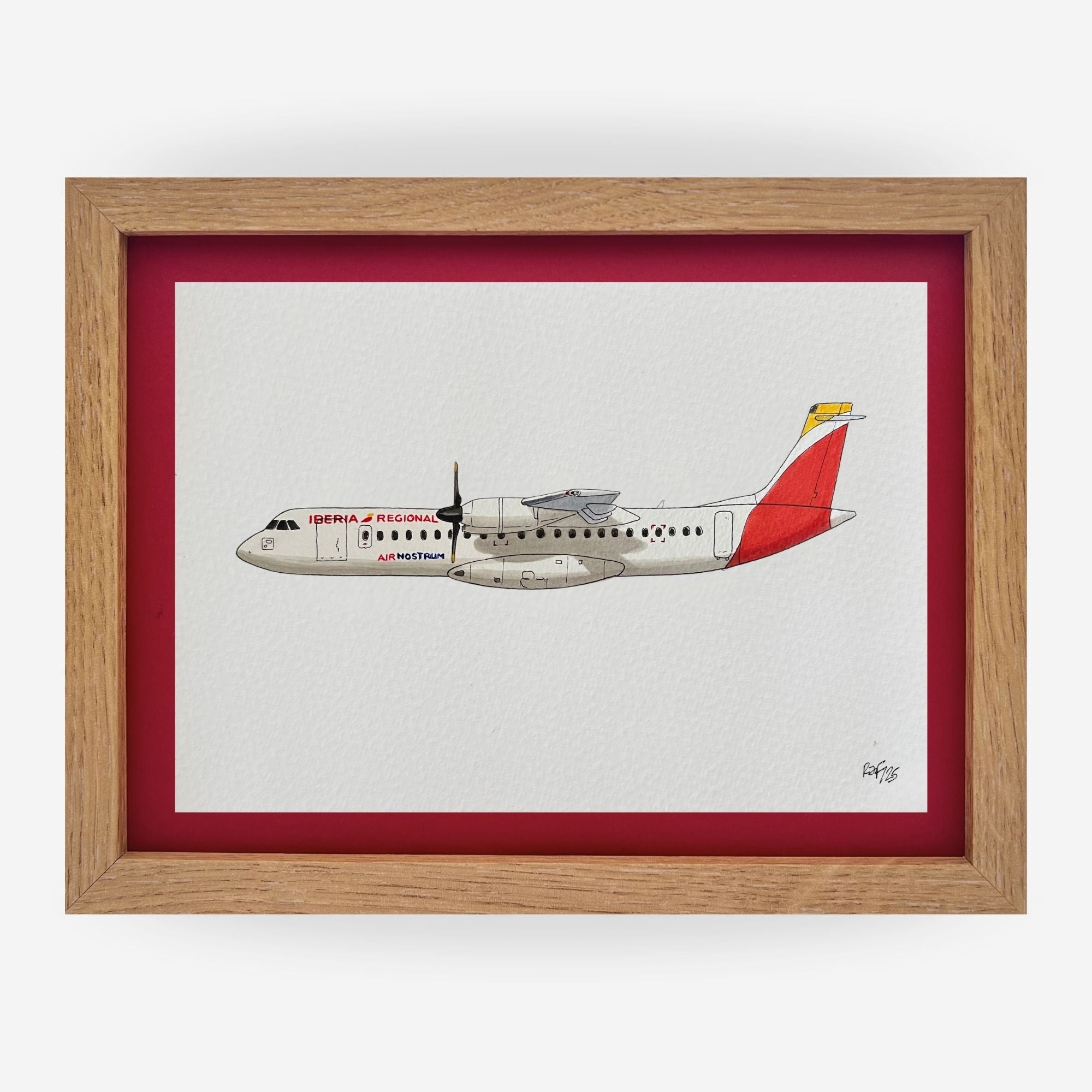 Lámina del avión ATR 72 - ANE