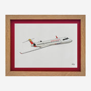 Lámina del avión CRJ 900 - ANE