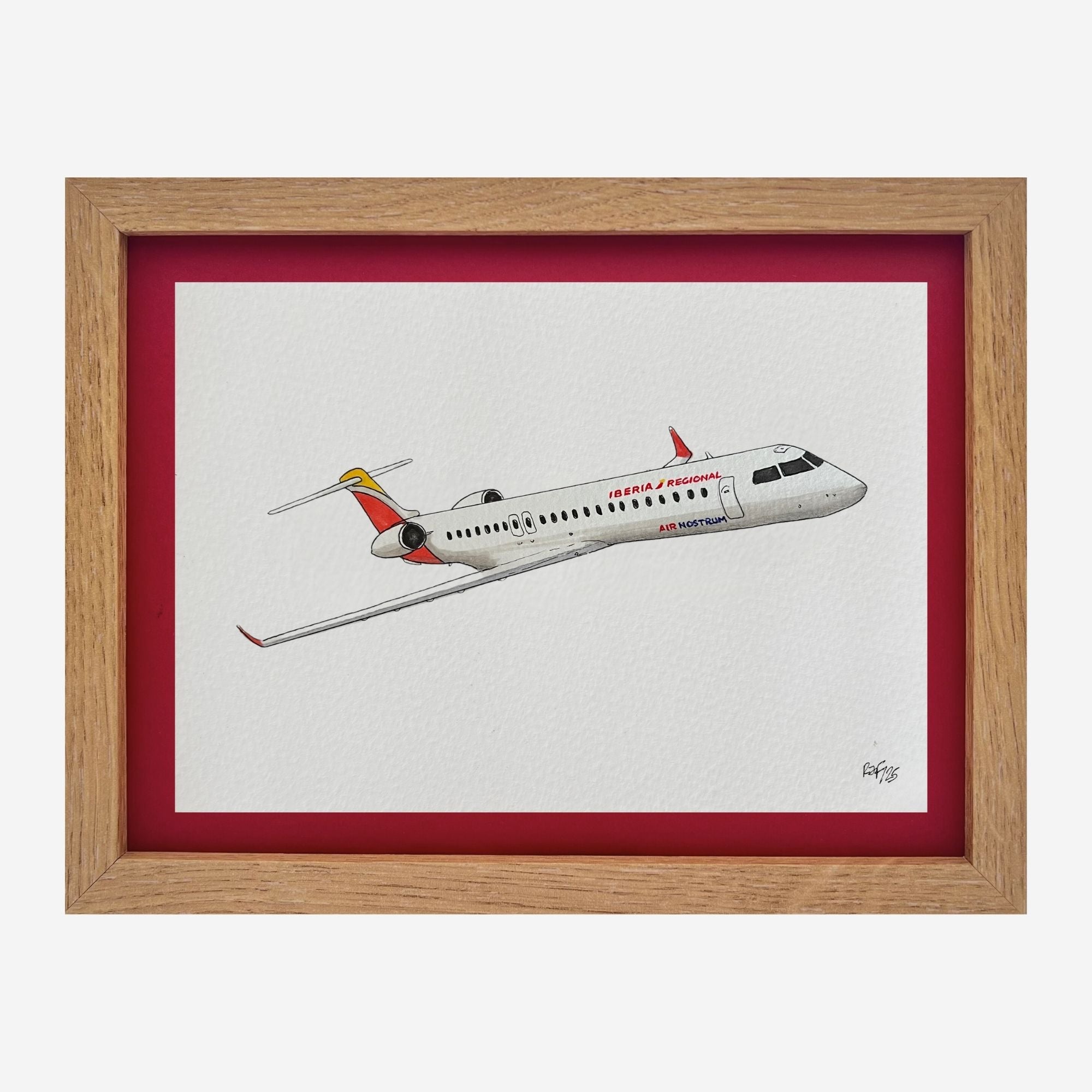 Lámina del avión CRJ 900 - ANE