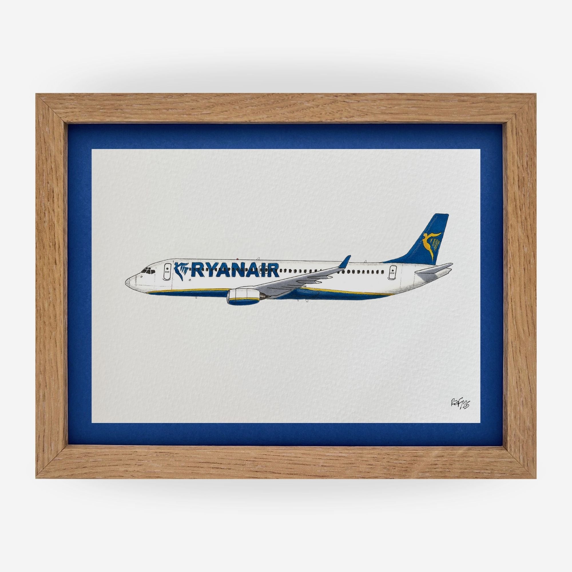 Lámina del avión B737-900 NG - RYR