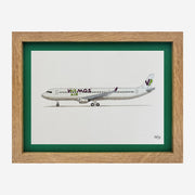 Lámina el avión A330-200 - PLM