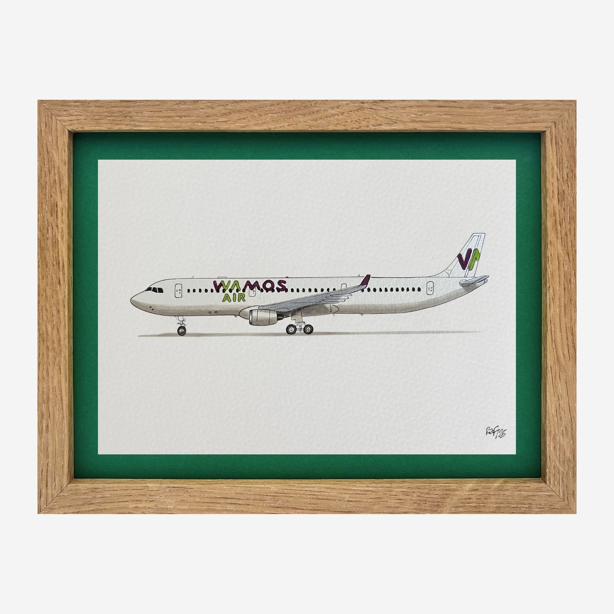 Lámina el avión A330-200 - PLM