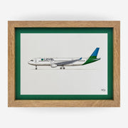 Lámina del avión A330-202 LVL