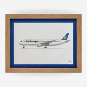 Lámina del avión B787-9 - AEA