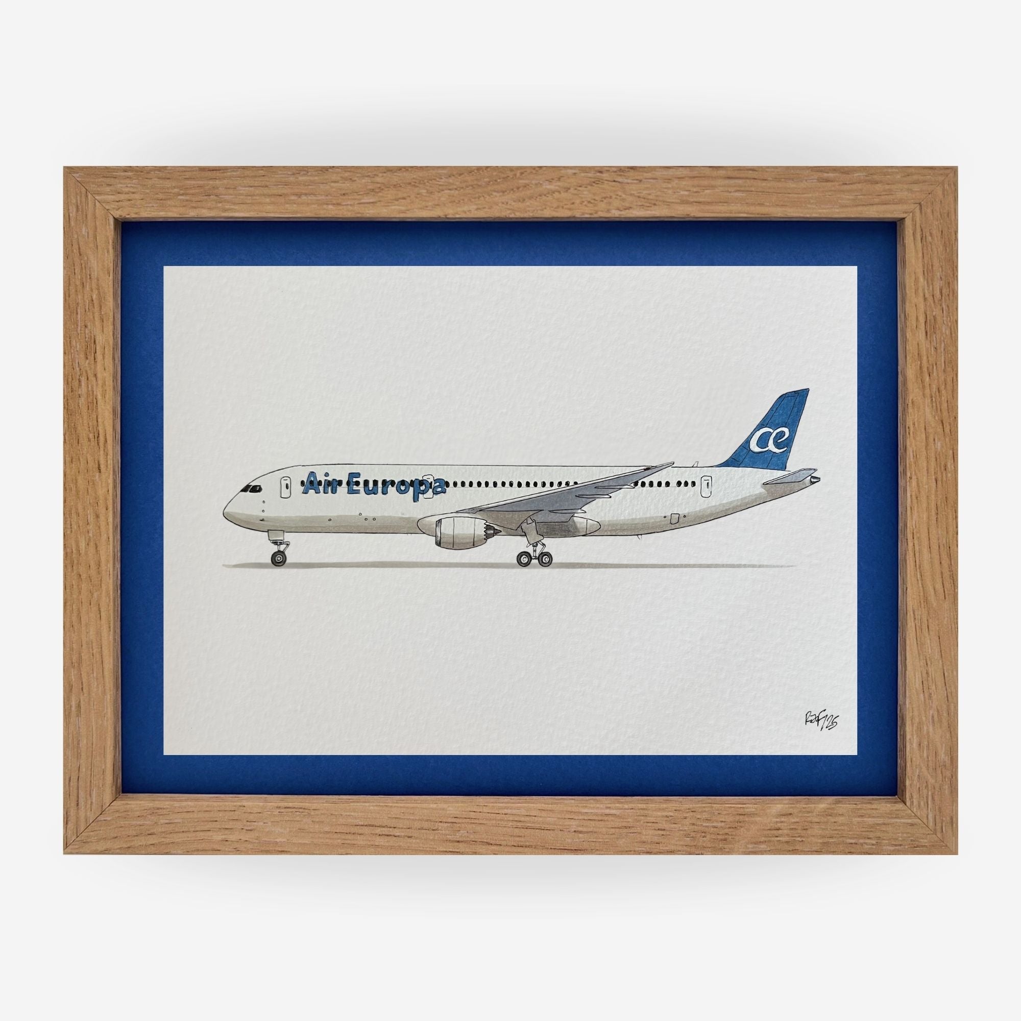 Lámina del avión B787-9 - AEA